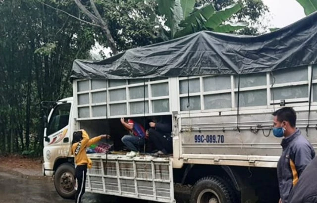 Thanh Hóa: Hơn chục người ngồi trong thùng xe tải để “né” chốt kiểm soát dịch Covid-19