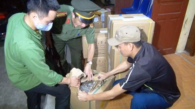 Thanh Hóa: 5 người "ôm" hàng tạ thuốc nổ ảnh 1