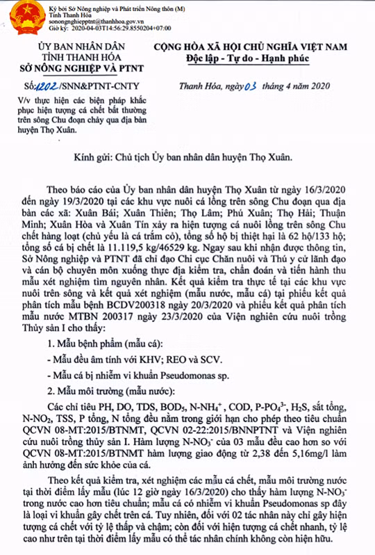 Vụ cá chết bất thường trên sông Chu (Thanh Hóa): Tác nhân chính không còn hiện hữu ảnh 1