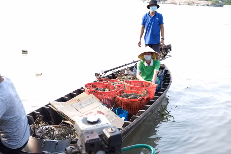 Người già, người trẻ cồn Sơn gói bánh gửi tặng tuyến đầu chống dịch ảnh 8