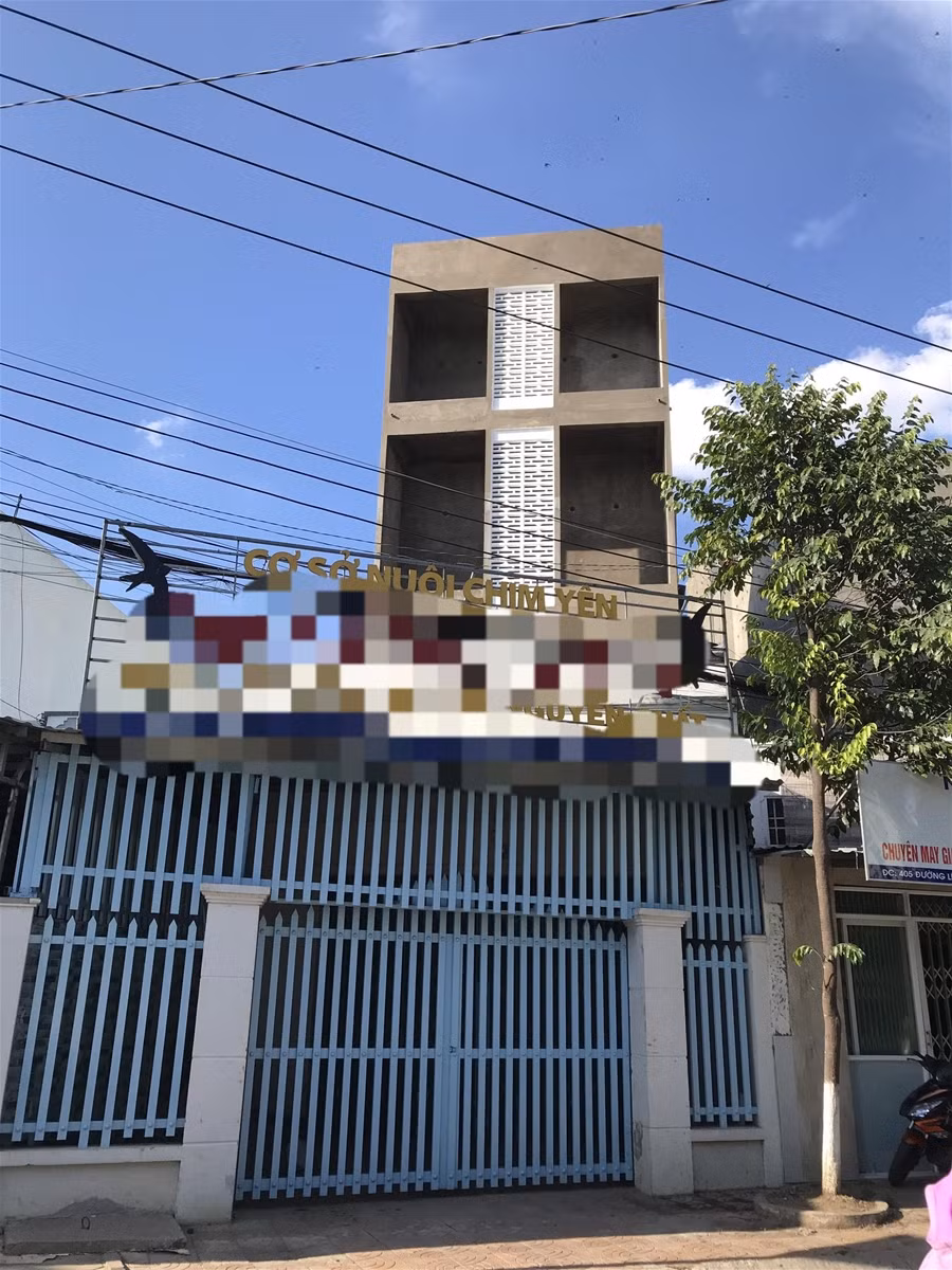 Cần Thơ: Nhiều vùng không được nuôi yến từ ngày 20/7 ảnh 1