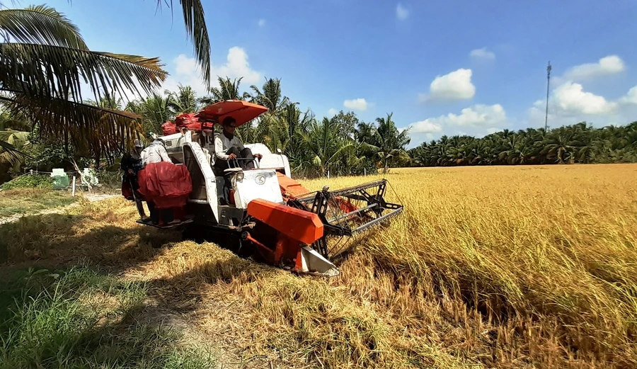 Bảo tàng Nông nghiệp Đồng bằng sông Cửu Long quy mô thế nào?