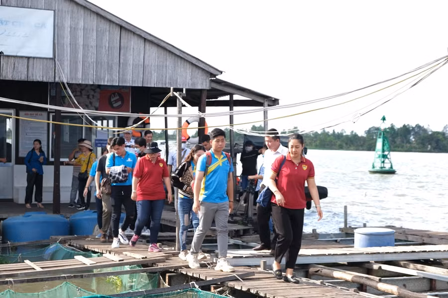 Du lịch miệt vườn miền Tây hút khách trở lại ảnh 2