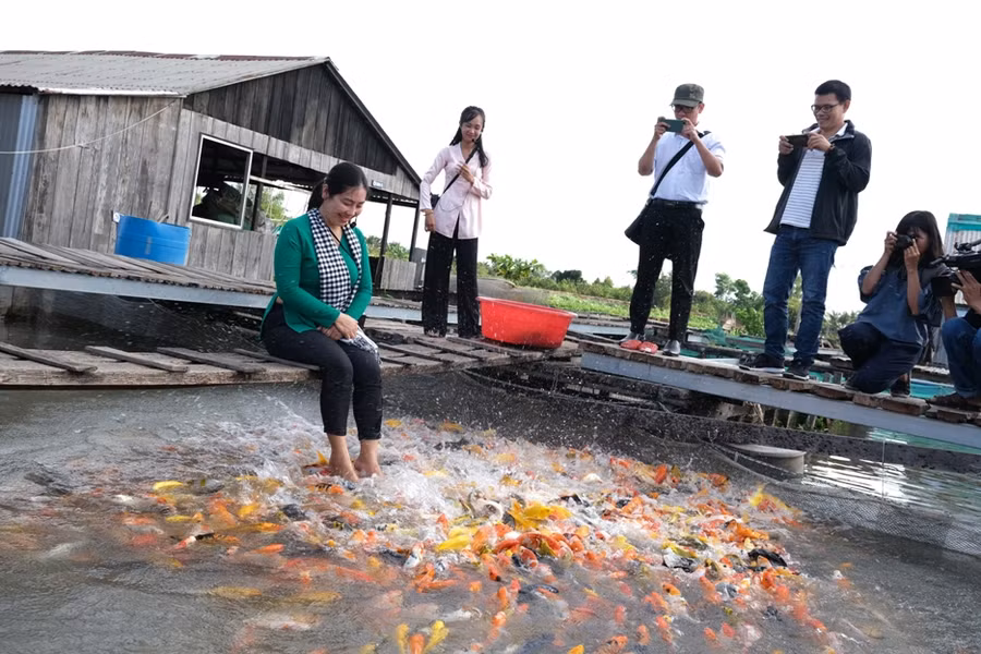 Du lịch miệt vườn miền Tây hút khách trở lại ảnh 3