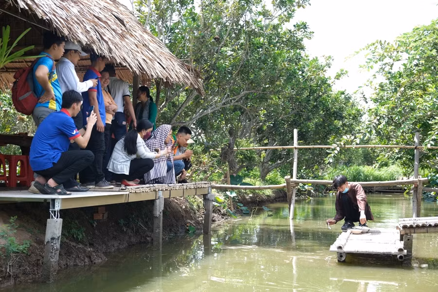 Du lịch miệt vườn miền Tây hút khách trở lại ảnh 16