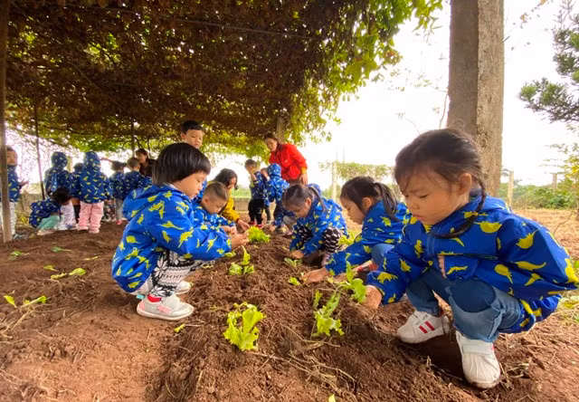 Trường mầm non ngoài công lập mong chờ hỗ trợ tài chính ảnh 1
