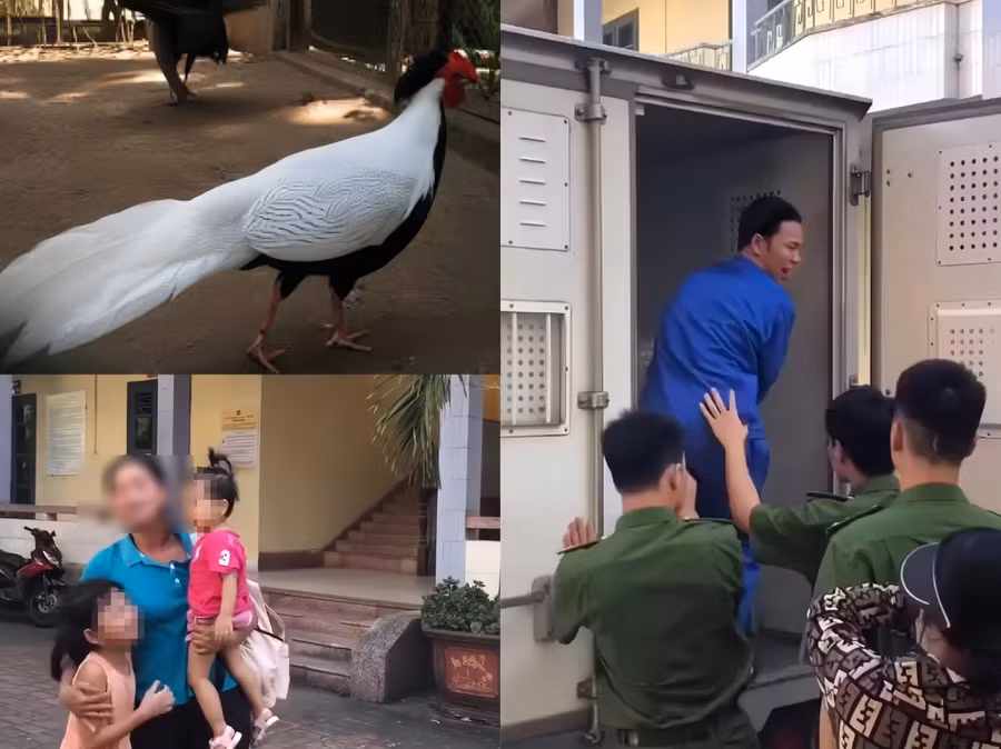 Chỉ vì thiếu hiểu biết pháp luật, ông Thái Khắc Thành đã vướng vào lao lý và nhận một cái giá không hề nhỏ.