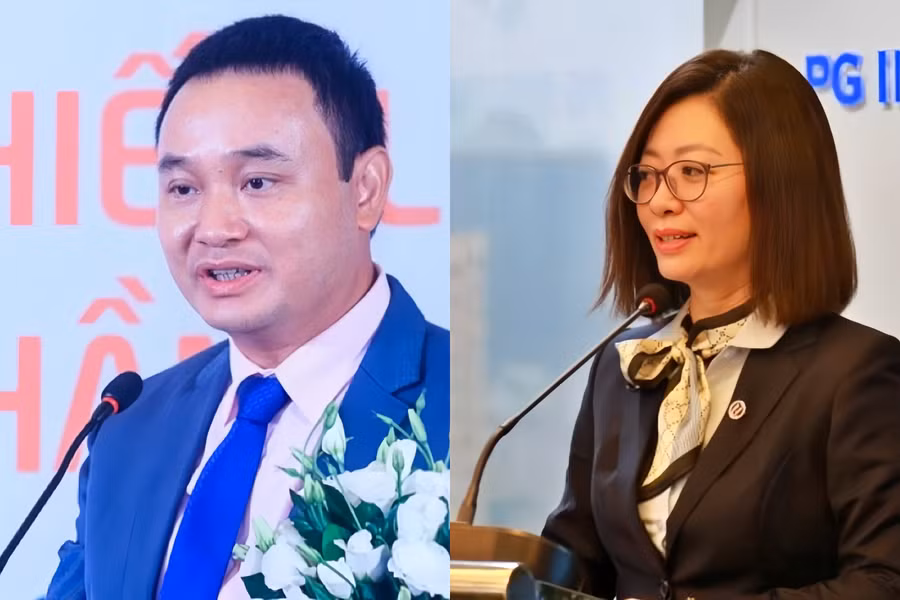 Hai cựu Tổng giám đốc bảo hiểm Petrolimex bị bắt là ông Đào Nam Hải và bà Nguyễn Thị Hương Giang.