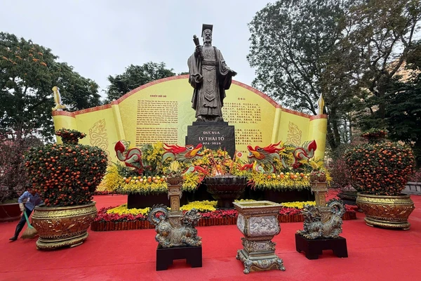 Không gian hoa Xuân sẽ kéo dài đến hết ngày 3/3 - Ảnh: BTC.