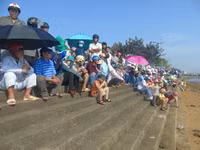 Quảng Bình: Đua thuyền truyền thống trên sông Nhật Lệ ảnh 4