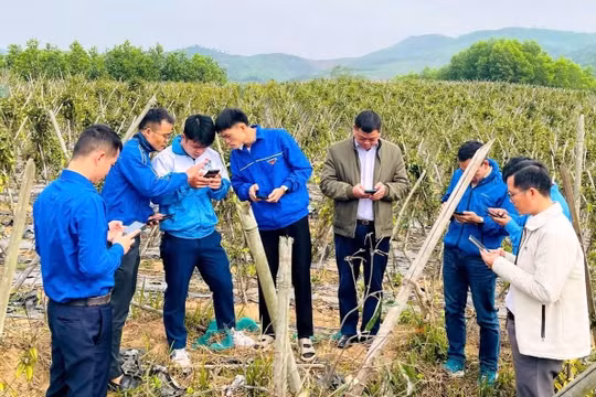 "Bình dân học vụ số" đến các bản làng.