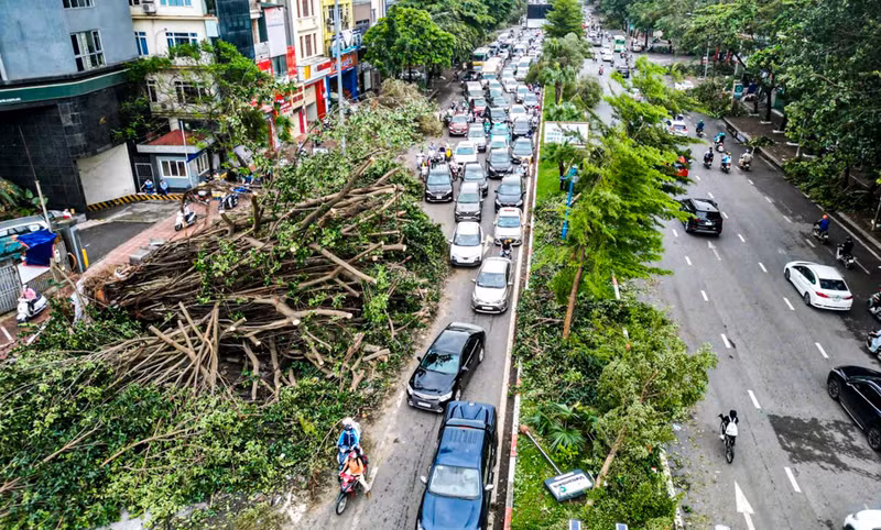 Thân cây nằm ngang chiếm nửa làn đường khiến nhiều phương tiện phải vòng tránh, cành cây và lá cây gây trơn trượt, tiềm ẩn nguy cơ tai nạn giao thông. 10.jpg