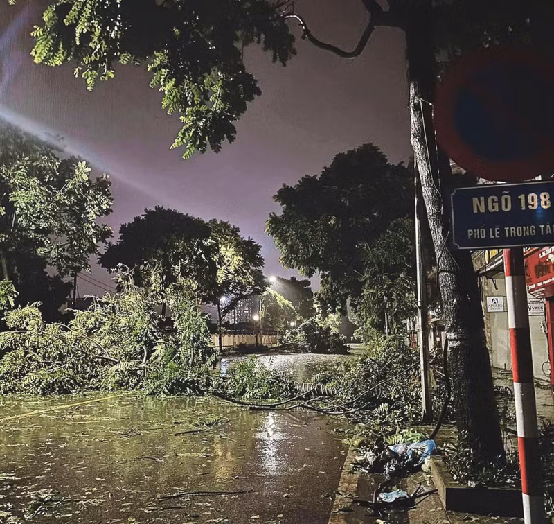 Quang cảnh phố Lê Trọng Tấn đêm ngày 7/9 sau khi bão Yagi quét qua. 4.jpg
