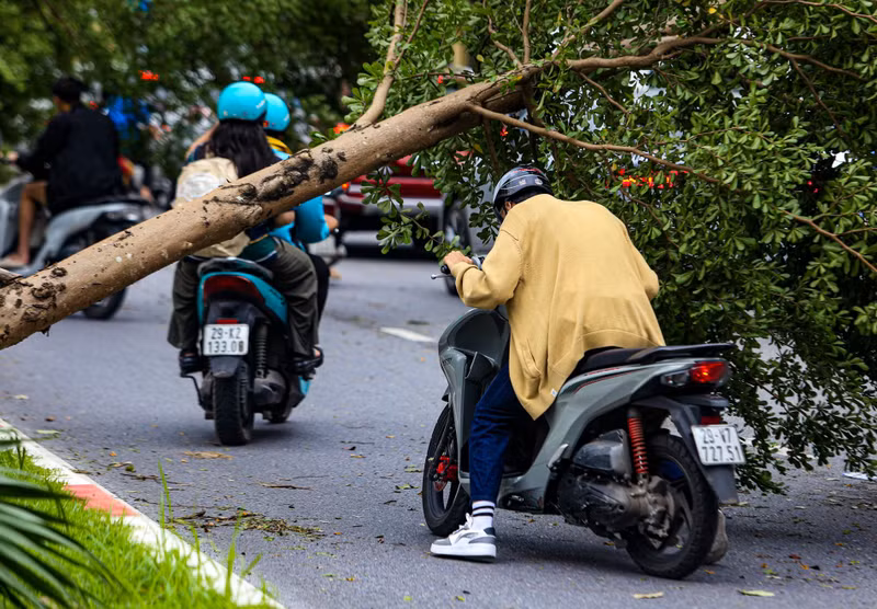 Một ngày sau khi bão số 3 (bão Yagi) quét qua Hà Nội, công tác khắc phục vẫn đang được khẩn trương thực hiện. Nhiều tuyến phố còn cây chắn ngang đường gây ùn tắc. 1.jpg