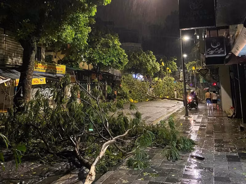 Nhiều cành cây trên khu vực phố cổ bị gió bão quật gẫy chắn ngang đường. 5.jpg