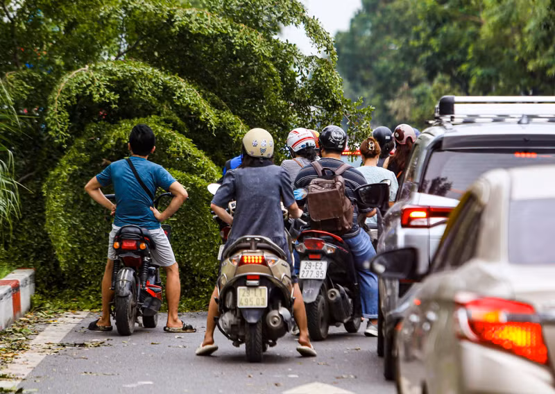Còn trên đường Nguyễn Trãi - tuyến huyết mạch nối các quận huyện Thanh Oai, Hà Đông với trung tâm TP Hà Nội, cây xanh bị đổ, gãy đã cơ bản được dọn dẹp sạch. 6.jpg