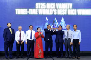 Gạo ST25 lần thứ ba đoạt Cúp Gạo ngon nhất thế giới.