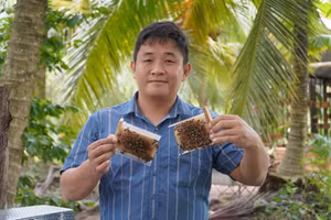 Việc tiếp cận thông tin nhanh, chính xác đã giúp chàng trai miền Tây thành công với mô hình nuôi ong hữu cơ.