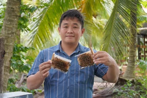 Việc tiếp cận thông tin nhanh, chính xác đã giúp chàng trai miền Tây thành công với mô hình nuôi ong hữu cơ.