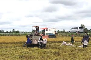 Chương trình chuyển đổi "lấy nông dân làm trọng tâm" đã hỗ trợ hàng chục nghìn nông dân sản xuất.