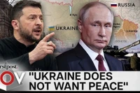 Ông Zelensky đứng trước lựa chọn sinh tử