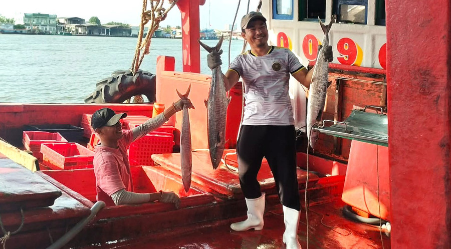 Ngư dân Sông Đốc lên cá với niềm vui trúng mùa.