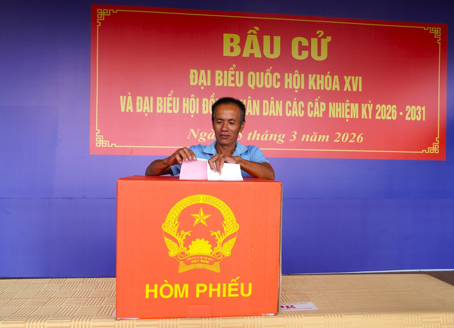 Cử tri Cà Mau tham gia bỏ phiếu bầu cử.