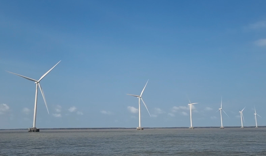 Cà Mau có 16 dự án điện gió đang vận hành khai thác.