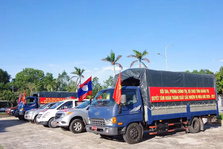 tim-kiem-hai-cot-liet-si-4.jpg
