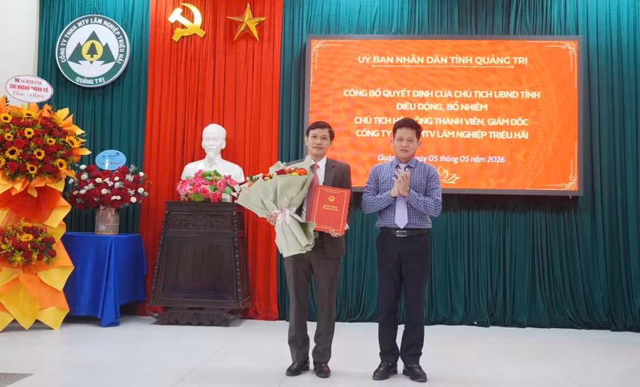 Ông Lê Văn Bảo, Phó Chủ tịch UBND tỉnh trao quyết định bổ nhiệm cho ông Hoàng Ngọc Thành, Giám đốc Công ty TNHH MTV Lâm nghiệp Triệu Hải.