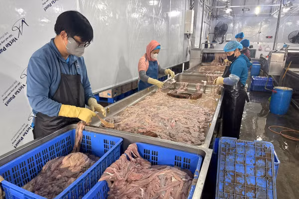 Kho lạnh chứa hàng chục tấn lòng lợn không rõ nguồn gốc suốt nhiều tháng (Ảnh CAHN).