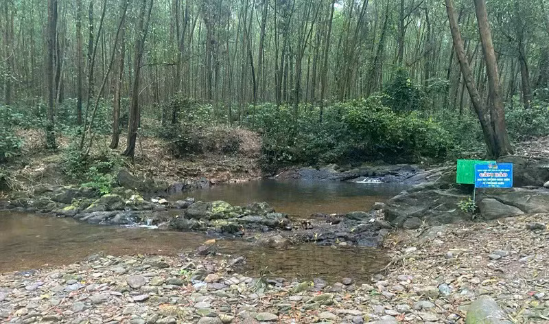 Khu vực suối Khe Ngang - nơi xảy ra vụ việc.