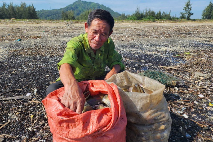 Sau hơn 4 giờ đồng hồ, gia đình ông Nguyễn Văn Hải (56 tuổi, trú huyện Lộc Hà) nhặt được trên 120kg sò các loại. 747ae097ce5e76002f4f.jpg