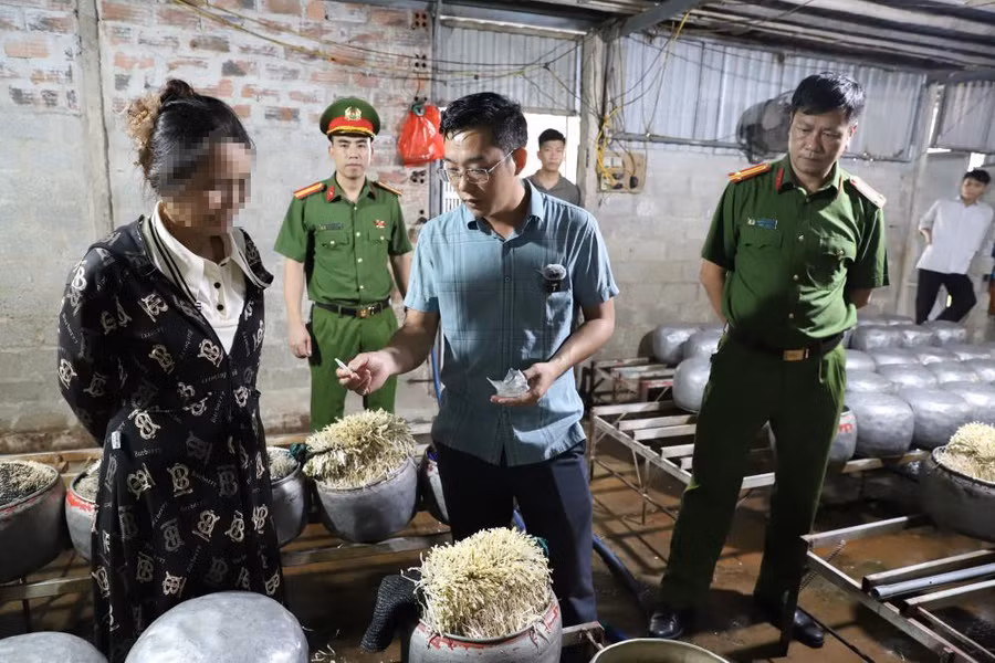 Lực lượng chức năng kiểm tra, phát hiện cơ sở dùng chất cấm sản xuất giá đỗ ở Hà Tĩnh. (Ảnh: CAHT)