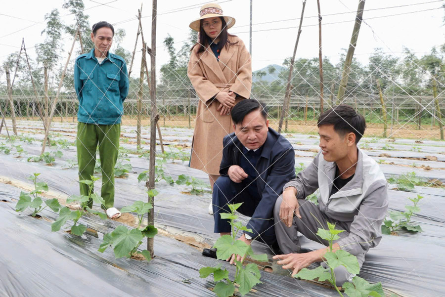 Cán bộ địa phương kiểm tra, hướng dẫn kỹ thuật trồng trọt cho nông dân.