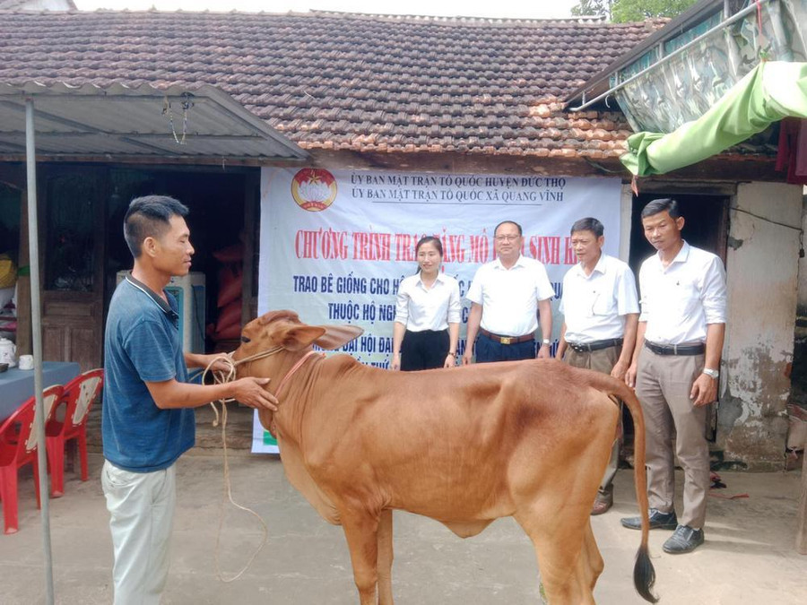 Người nghèo ở Hà Tĩnh được tặng bò giống từ những mô hình sinh kế. (Ảnh:T.T)