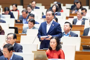 Đại biểu Nguyễn Quang Huân - đoàn ĐBQH TPHCM.