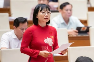 Đại biểu Nguyễn Thị Việt Nga (Hải Dương). (Ảnh: P.Thắng)