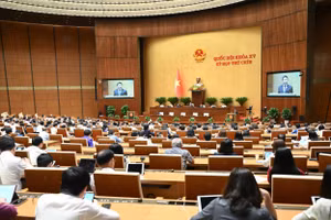 Toàn cảnh phiên làm việc sáng 11/6. 