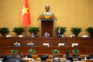 Trước đó, ngày 24/10, trong phiên họp buổi sáng, Quốc hội họp phiên toàn thể tại Hội trường.