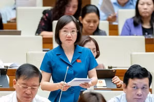 Đại biểu Thái Thị An Chung phát biểu.