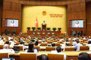 Toàn cảnh phiên họp sáng 12/5. 