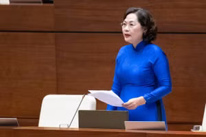 Thống đốc Ngân hàng Nguyễn Thị Hồng. 