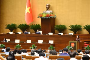 Toàn cảnh phiên họp sáng 20/5. 