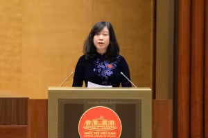 Bộ trưởng Bộ Y tế Đào Hồng Lan. 