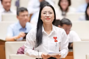 Đại biểu Trần Khánh Thu - đoàn ĐBQH tỉnh Thái Bình. 