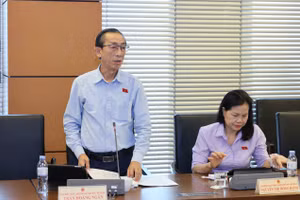 Đại biểu Trần Hoàng Ngân, đoàn ĐBQH TPHCM.