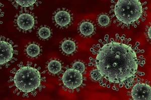 Tác nhân gây bệnh cúm chủ yếu do các chủng virus cúm A(H3N2), cúm A(H1N1), cúm B và cúm C. 