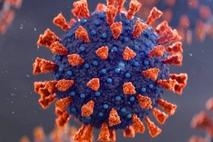 Nhiễm trùng kéo dài cho phép virus khám phá các cách lây nhiễm tế bào hiệu quả hơn. Ảnh minh hoạ.