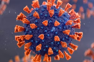 Nhiễm trùng kéo dài cho phép virus khám phá các cách lây nhiễm tế bào hiệu quả hơn. Ảnh minh hoạ. 